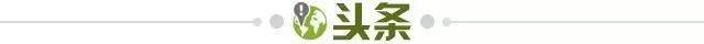 【早报】中国速度!亚洲之光!苏炳添的9秒83神迹!